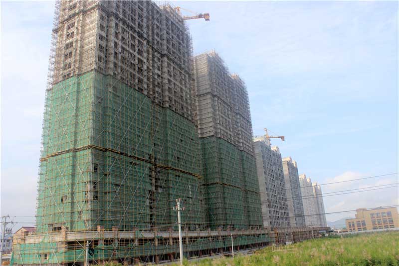 杜橋鎮(zhèn)西岸村公寓式住宅