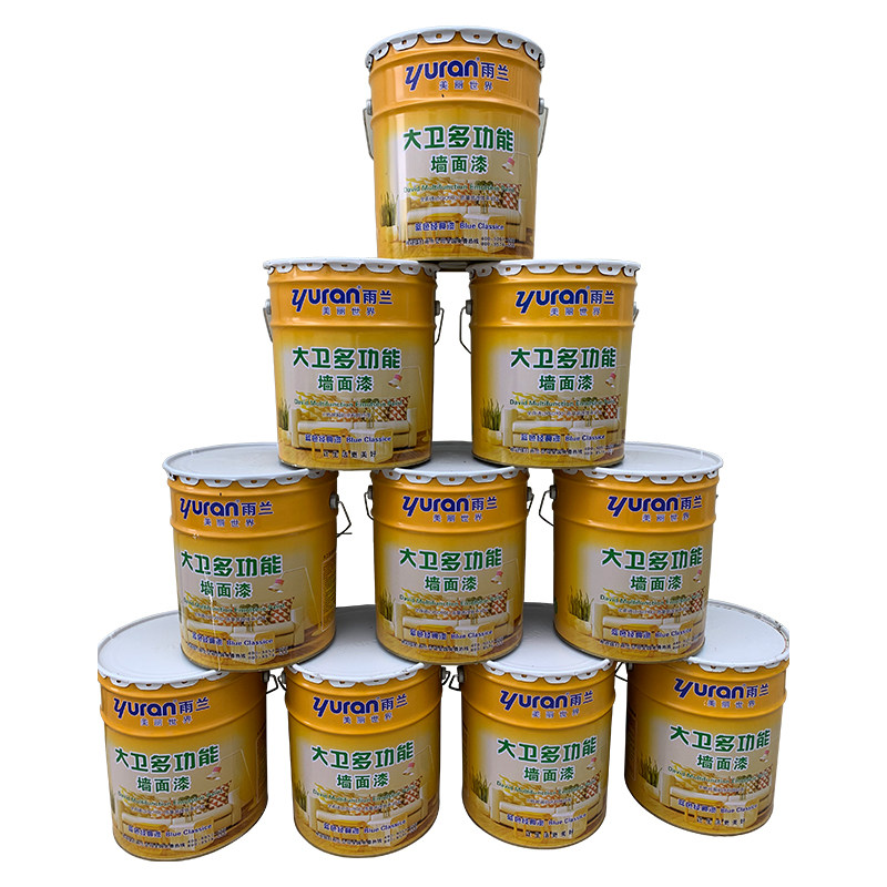大衛(wèi)多功能墻面漆